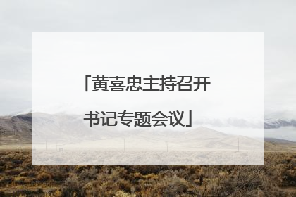 黄喜忠主持召开书记专题会议