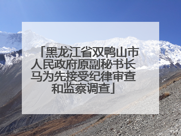 黑龙江省双鸭山市人民政府原副秘书长马为先接受纪律审查和监察调查