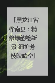 黑龙江省桦南县：精修绿韵绘新景 细护芳枝映晴空