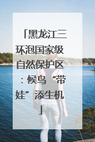 黑龙江三环泡国家级自然保护区：候鸟“带娃”添生机