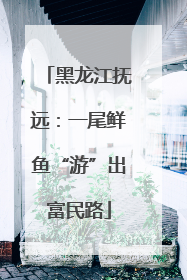 黑龙江抚远：一尾鲜鱼“游”出富民路