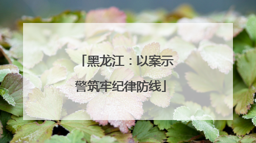 黑龙江：以案示警筑牢纪律防线