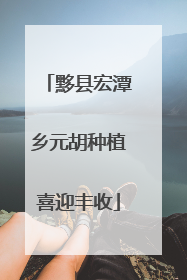 黟县宏潭乡元胡种植喜迎丰收