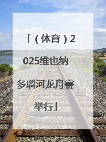 （体育）2025维也纳多瑙河龙舟赛举行