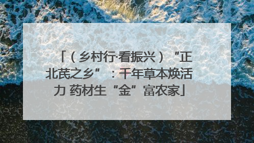 （乡村行·看振兴）“正北芪之乡”：千年草本焕活力 药材生“金”富农家