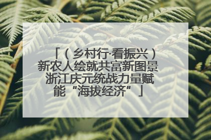 （乡村行·看振兴）新农人绘就共富新图景 浙江庆元统战力量赋能“海拔经济”