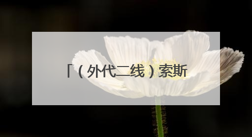 （外代二线）索斯托动物园的黑天鹅