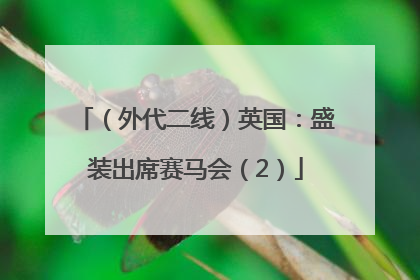 （外代二线）英国：盛装出席赛马会（2）