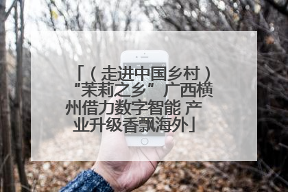 （走进中国乡村）“茉莉之乡”广西横州借力数字智能 产业升级香飘海外