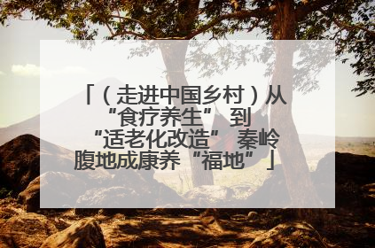 （走进中国乡村）从 “食疗养生” 到 “适老化改造” 秦岭腹地成康养“福地”