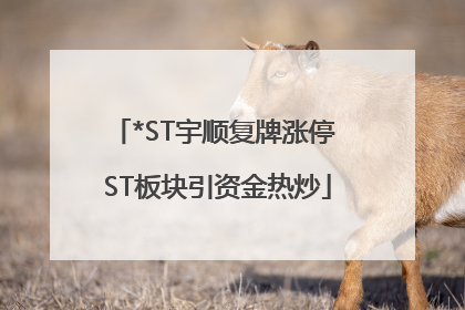 *ST宇顺复牌涨停 ST板块引资金热炒