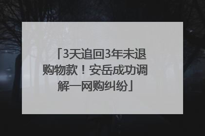3天追回3年未退购物款！安岳成功调解一网购纠纷