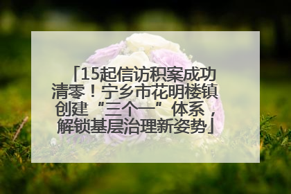 15起信访积案成功清零！宁乡市花明楼镇创建“三个一”体系，解锁基层治理新姿势