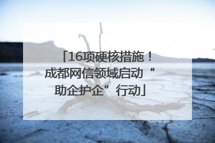 16项硬核措施！成都网信领域启动“助企护企”行动