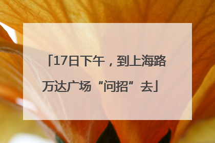 17日下午，到上海路万达广场“问招”去
