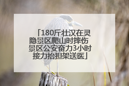 180斤壮汉在灵隐景区爬山时摔伤 景区公安奋力3小时接力抬担架送医