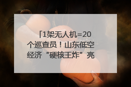 1架无人机=20个巡查员！山东低空经济“硬核王炸”亮相青岛，下一个万亿赛道藏在这里