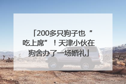 200多只狗子也“吃上席”！天津小伙在狗舍办了一场婚礼