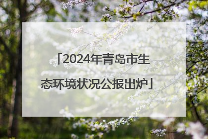 2024年青岛市生态环境状况公报出炉