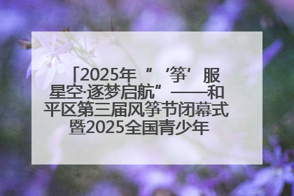 2025年“‘筝’服星空·逐梦启航”——和平区第三届风筝节闭幕式 暨2025全国青少年风筝制作放飞赛（沈阳站）颁奖仪式