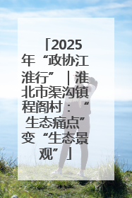 2025年“政协江淮行”｜淮北市渠沟镇程阁村：“生态痛点”变“生态景观”