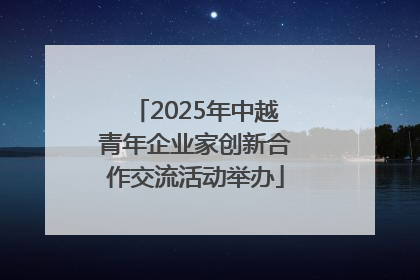 2025年中越青年企业家创新合作交流活动举办