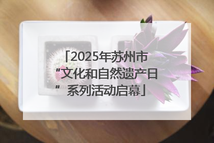 2025年苏州市“文化和自然遗产日”系列活动启幕