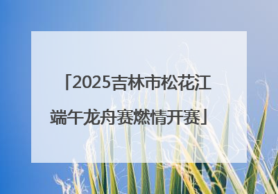 2025吉林市松花江端午龙舟赛燃情开赛
