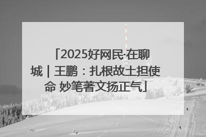 2025好网民·在聊城｜王鹏：扎根故土担使命 妙笔著文扬正气