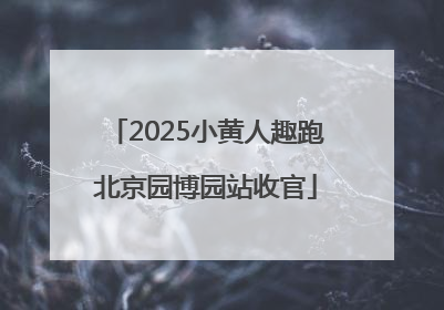 2025小黄人趣跑北京园博园站收官