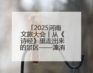 2025河南文旅大会丨从《诗经》里走出来的景区——溱洧水城开街迎宾