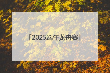 2025端午龙舟赛