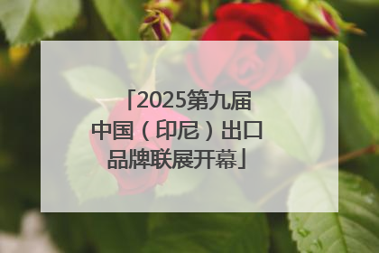 2025第九届中国（印尼）出口品牌联展开幕