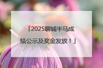 2025聊城半马成绩公示及奖金发放！