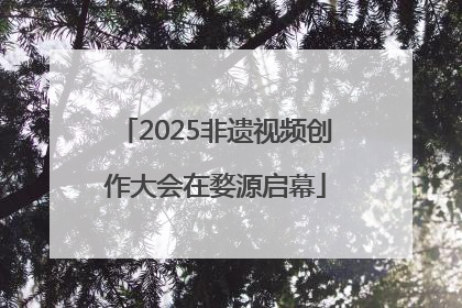 2025非遗视频创作大会在婺源启幕