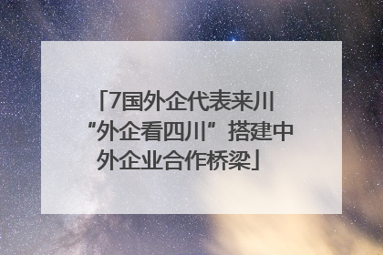 7国外企代表来川 “外企看四川”搭建中外企业合作桥梁