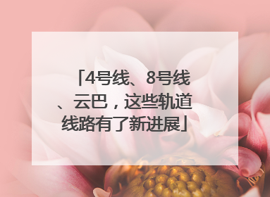 4号线、8号线、云巴，这些轨道线路有了新进展