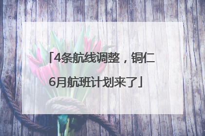 4条航线调整，铜仁6月航班计划来了