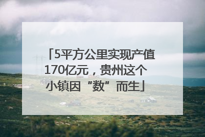 5平方公里实现产值170亿元，贵州这个小镇因“数”而生