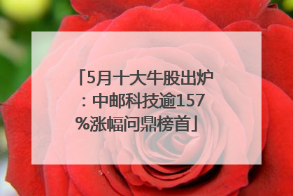 5月十大牛股出炉：中邮科技逾157%涨幅问鼎榜首