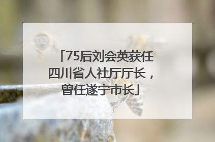 75后刘会英获任四川省人社厅厅长，曾任遂宁市长