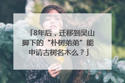 8年后，迁移到吴山脚下的“朴树弟弟”能申请古树名木么？