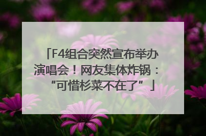 F4组合突然宣布举办演唱会！网友集体炸锅：“可惜杉菜不在了”