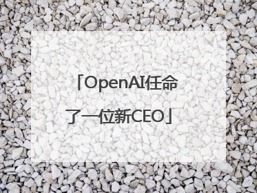 OpenAI任命了一位新CEO
