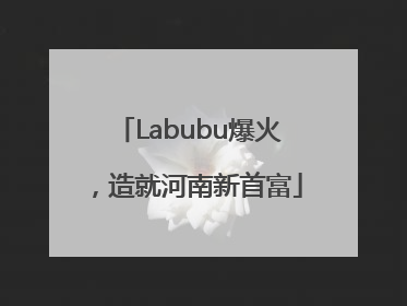 Labubu爆火，造就河南新首富