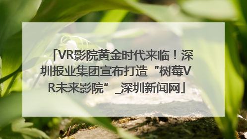VR影院黄金时代来临！深圳报业集团宣布打造“树莓VR未来影院”_深圳新闻网